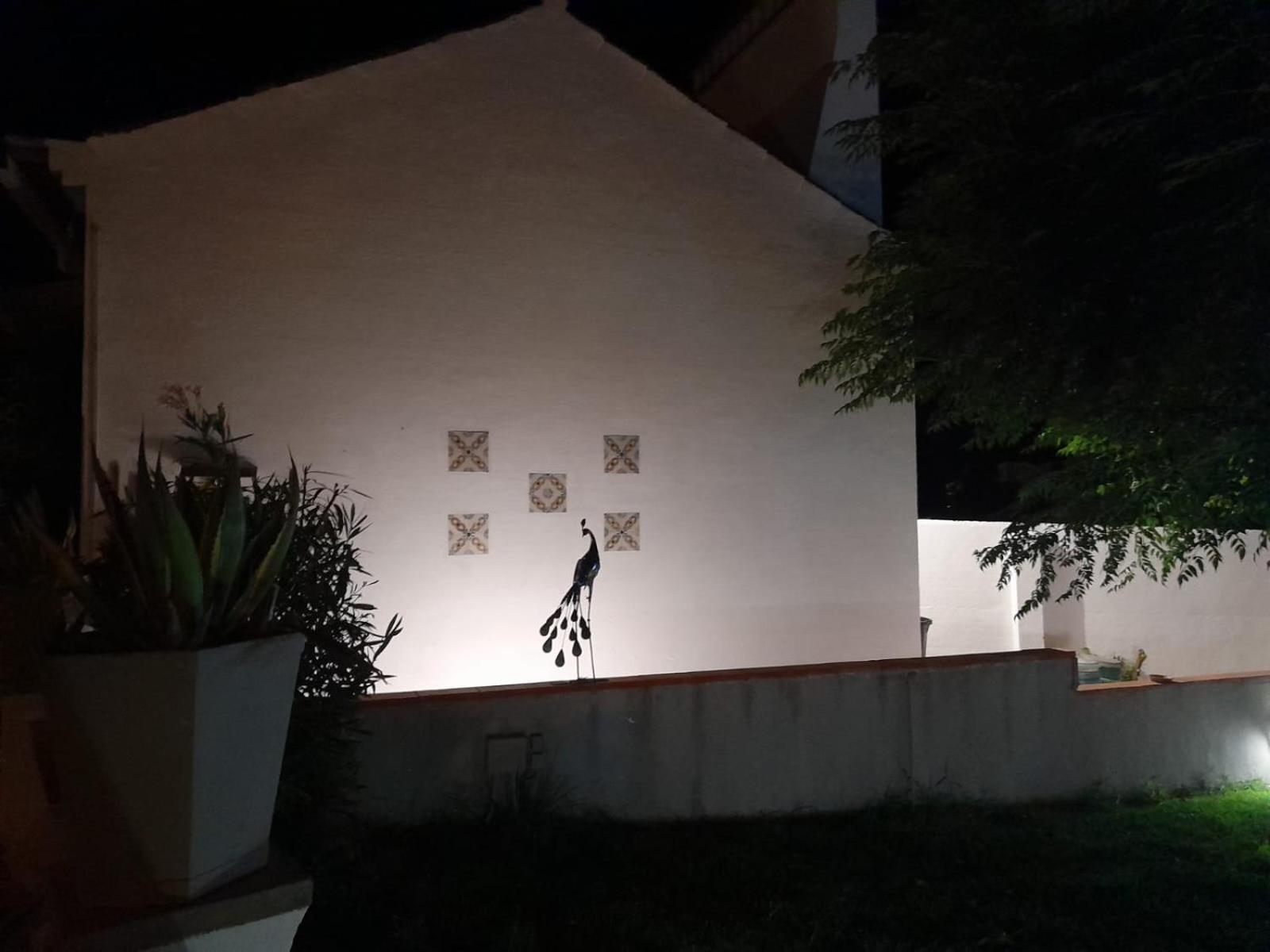 Pateo do Morgado - Turismo de Habitacao Casa Branca Exterior foto
